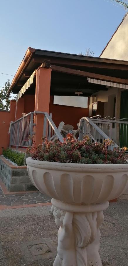 Casa Vacanze Mimose 팔리누로 외부 사진
