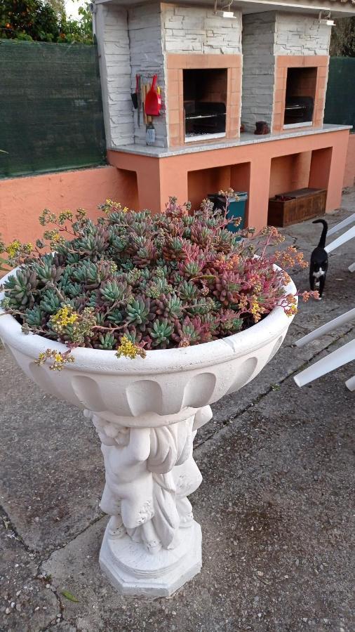Casa Vacanze Mimose 팔리누로 외부 사진