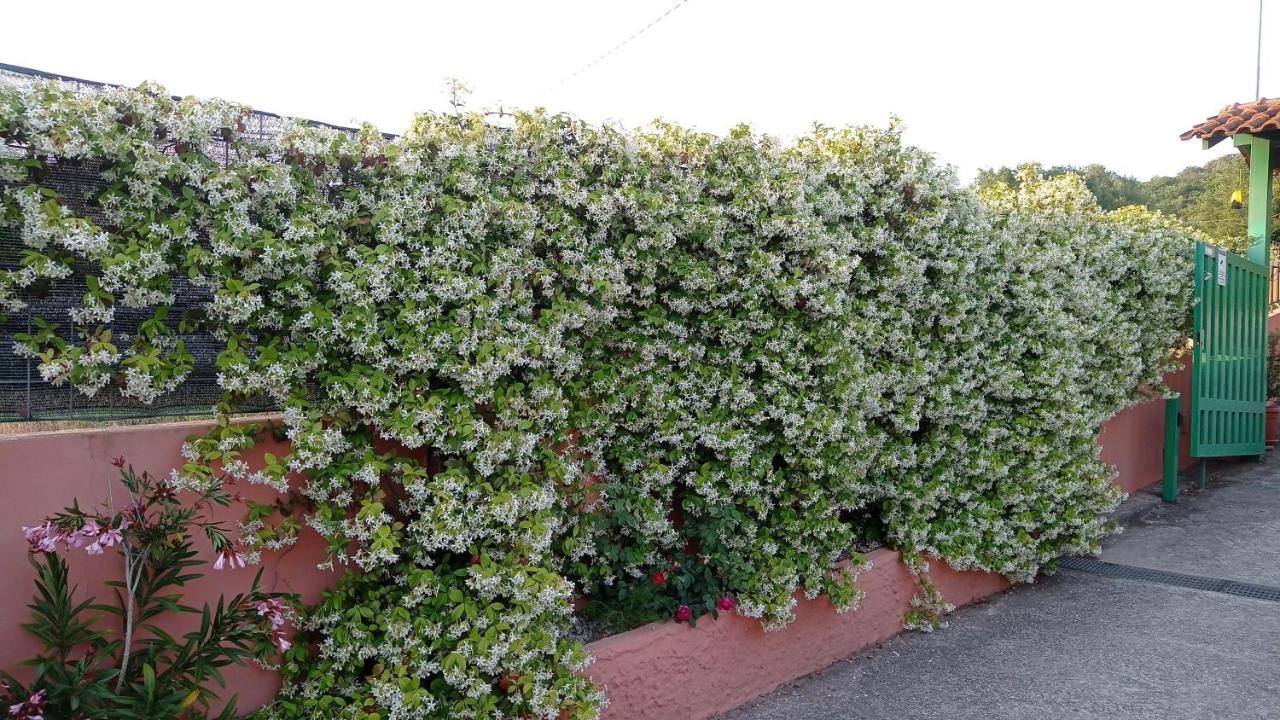 Casa Vacanze Mimose 팔리누로 외부 사진