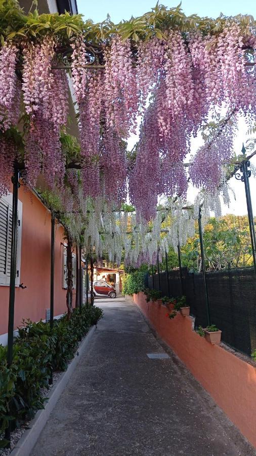 Casa Vacanze Mimose 팔리누로 외부 사진