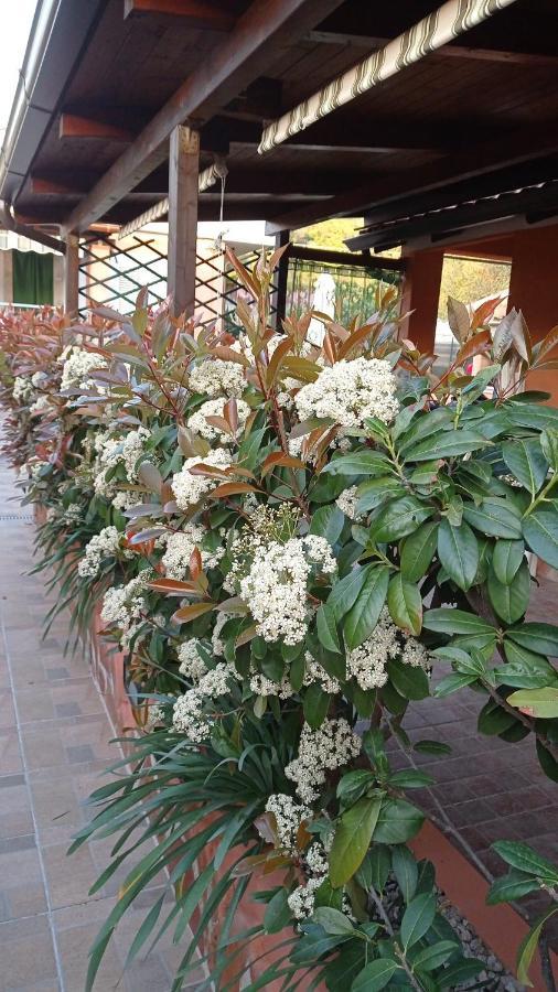 Casa Vacanze Mimose 팔리누로 외부 사진