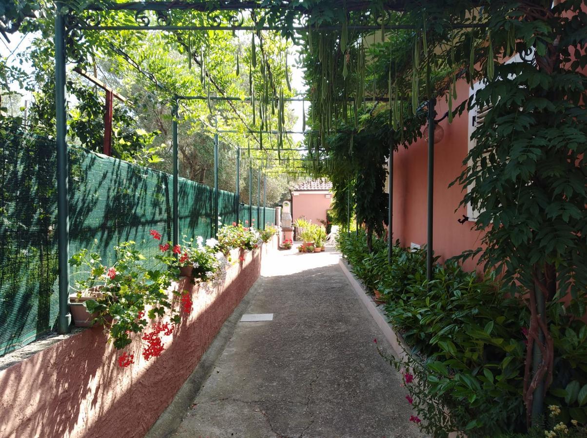 Casa Vacanze Mimose 팔리누로 외부 사진