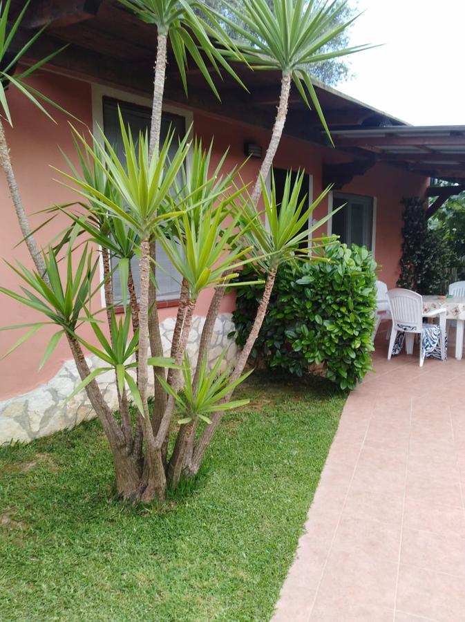 Casa Vacanze Mimose 팔리누로 외부 사진