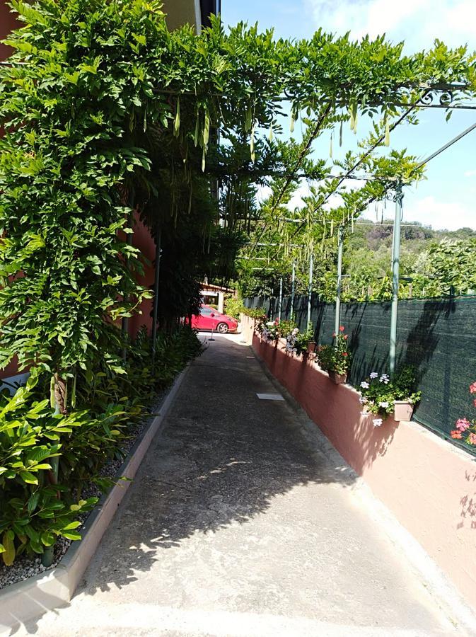 Casa Vacanze Mimose 팔리누로 외부 사진