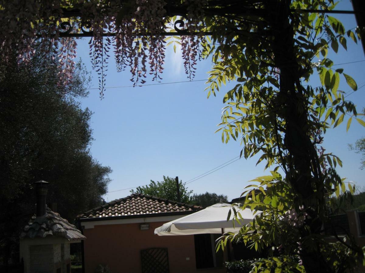 Casa Vacanze Mimose 팔리누로 외부 사진